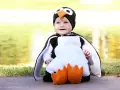 Bebé sonriente con un adorable disfraz pinguino casero, con aletas y pico naranja.