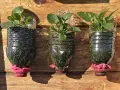 Tres macetas recicladas originales, hechas de botellas de plástico, con plantas verdes y adornos rosados, colgadas sobre madera.
