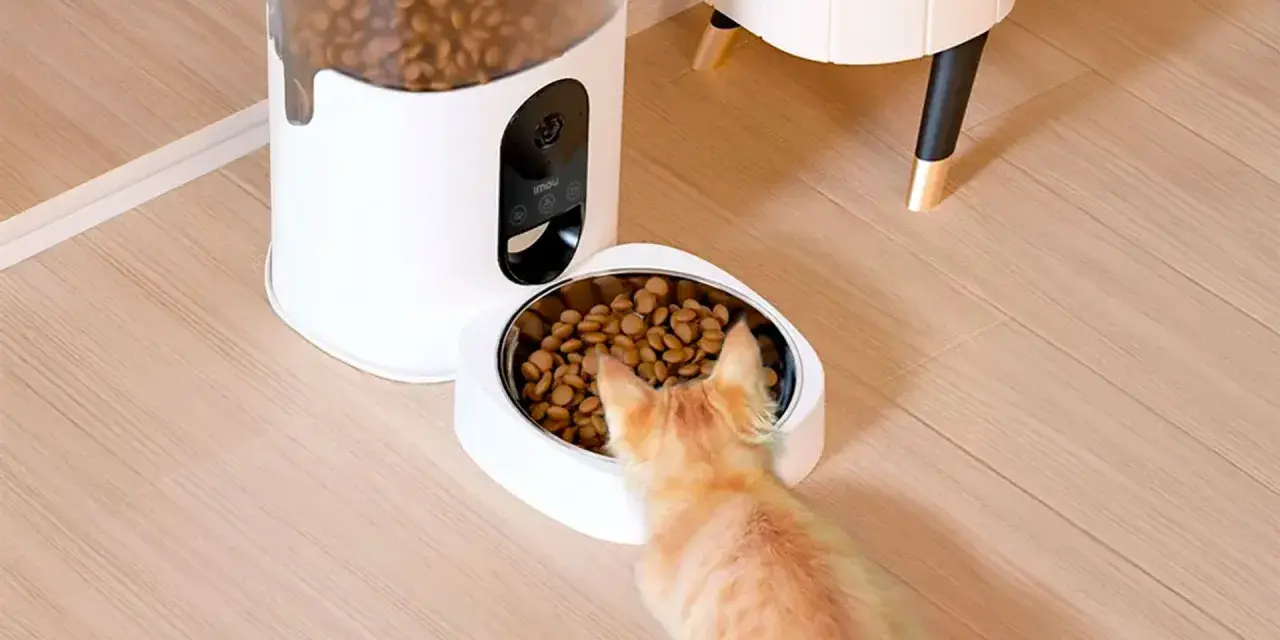 Un gato naranja se acerca a un comedero personalizado, listo para disfrutar de su comida.