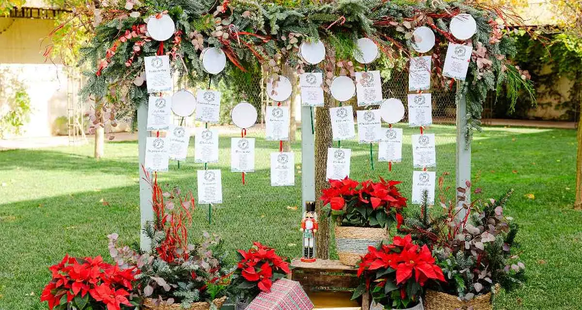 Decoración boda civil sencilla y barata: mesa de invitados con tarjetas colgando de ramas y adornos navideños.