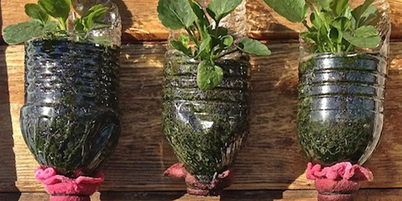 Tres macetas recicladas originales, hechas de botellas de plástico, con plantas verdes y adornos rosados, colgadas sobre madera.