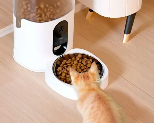 Un gato naranja se acerca a un comedero personalizado, listo para disfrutar de su comida.