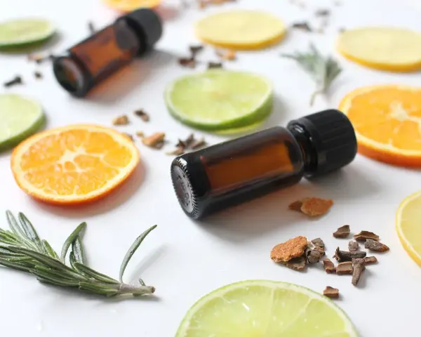 Ingredientes para hacer un ambientador mikado: aceites esenciales, rodajas de cítricos, romero y especias.