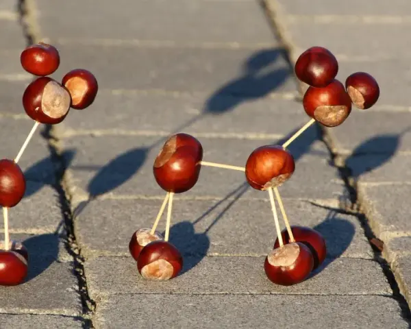 Figuras hechas con castañas y palillos, una divertida manualidad castaña que parece una molécula o un robot.