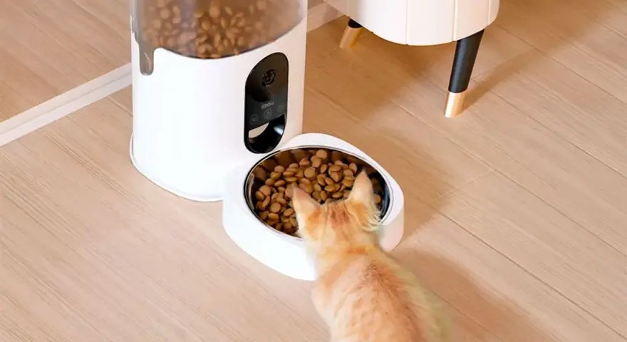 Un gato naranja se acerca a un comedero personalizado, listo para disfrutar de su comida.