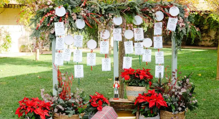 Decoración boda civil sencilla y barata: mesa de invitados con tarjetas colgando de ramas y adornos navideños.